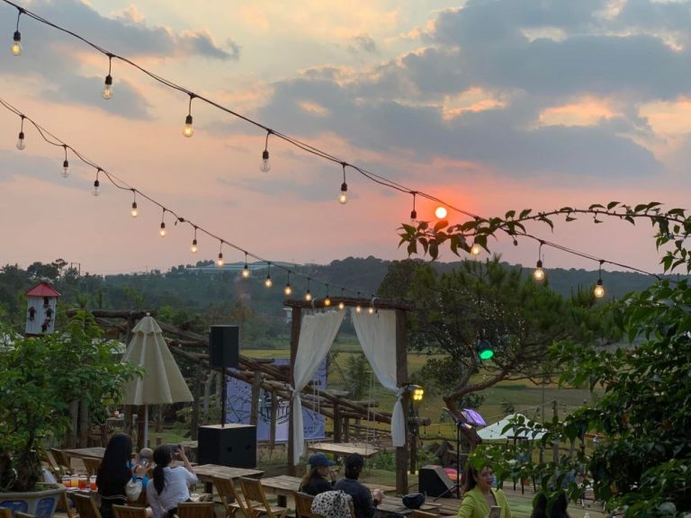 Thông Farm & Bistro – Cà Phê Đồi Thông Săn Mây Phố Núi Pleiku